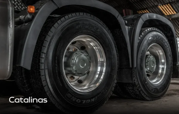 CAMIÓN 1256 / C7H / 430HP / CATALINAS / 6X4  -  20TON